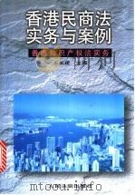 香港民商法实务与案例  香港知识产权法实务   1997  PDF电子版封面  7800565564  王新建主编 