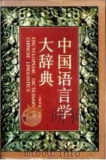 中国语言学大辞典   1991  PDF电子版封面  7539208112  陈海洋主编 