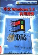 中文Windows 3.2实用指南   1996  PDF电子版封面  7806154876  袁源，肖晓等编著 