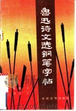 鲁迅诗文选钢笔字帖   1990  PDF电子版封面  7504814016  晓月书；龚民选 