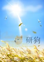 洪门志朱琳中华书局上海     PDF电子版封面     