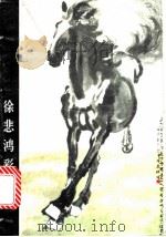 徐悲鸿彩墨画（1981 PDF版）