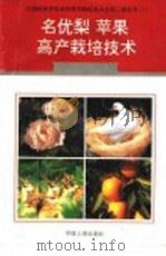 名优梨、苹果高产栽培技术   1996  PDF电子版封面  7800768341  高桂芳主编 