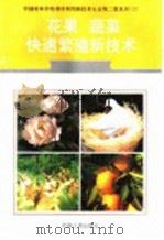 花果、蔬菜快速繁殖新技术   1996  PDF电子版封面  7800768341  李慎英编著 