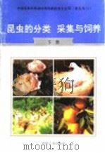 昆虫的分类、采集与饲养  下   1996  PDF电子版封面  7800768341  徐宗佑主编；李作龙，李弢编著 