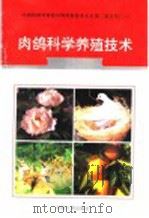 肉鸽科学养殖技术   1996  PDF电子版封面  7800768341  姜家佑编著 