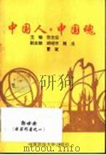 中国人·中国魂   1995  PDF电子版封面  7562001588  张念宏主编 