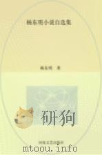 杨东明小说自选集   1999  PDF电子版封面  7806231250  杨东明著 