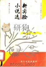 新实验小说选   1993  PDF电子版封面  7533905709  盛子潮选评 