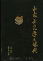 中国历史学大辞典（1992 PDF版）