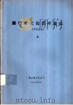 廊坊市文化艺术全志  文安县卷  上     PDF电子版封面     