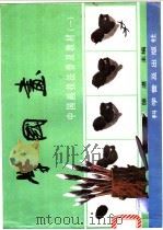 学国画   1989  PDF电子版封面  7110010686  徐湛主编 