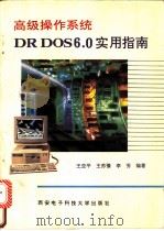 高级操作系统DR DOS 6.0实用指南   1994  PDF电子版封面  7560603424  王亚平等编著 