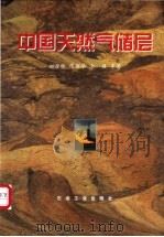 中国天然气储层   1999  PDF电子版封面  750212571X  赵澄林等著 