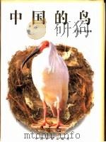 中国的鸟   1997  PDF电子版封面  7503815973  张词祖摄影，庞秉璋撰文 