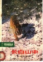 长白山中（1981 PDF版）