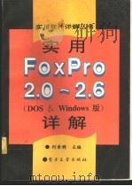 实用FoxPro 2.0-2.6详解 DOS&Windows版   1995  PDF电子版封面  7505331256  何希琼主编 