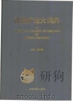 汉英矿业大词典   1997  PDF电子版封面  7507208982  姚绍德主编 