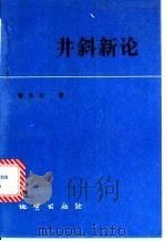 井斜新论   1996  PDF电子版封面  7116019898  董法治著 