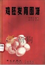 鸡胚发育图谱   1983  PDF电子版封面  13031·2186  蒋唏东编绘 