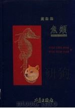 黄渤海鱼类   1994  PDF电子版封面  9578596162  张春霖等著 