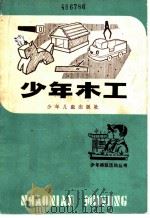 少年木工   1983  PDF电子版封面  R13024·164  徐轲，徐春荫编著 