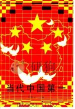 当代中国第一   1989  PDF电子版封面  7541911135  刘春玉主编 