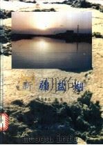 新疆盐湖   1995  PDF电子版封面  7030046803  郑喜玉等著 