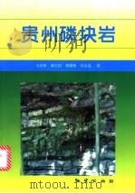 贵州磷块岩   1999  PDF电子版封面  7116025928  吴祥和，韩至均，蔡继峰等著 