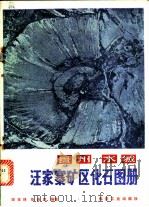 贵州水城汪家寨矿区化石图册   1980  PDF电子版封面  15035·2268  田宝林，张连武编著 