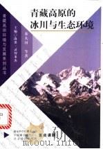 青藏高原的冰川与生态环境   1999  PDF电子版封面  7800573680  秦大河等著 