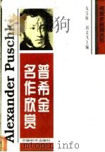 普希金名作欣赏   1996  PDF电子版封面  7801016890  戈宝权，刘文飞主编 
