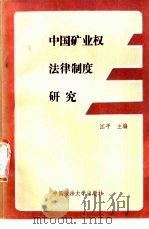 中国矿业权法律制度研究   1991  PDF电子版封面  756200613X  江平主编；姚新华等撰 