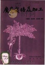 魔芋栽培及加工   1986  PDF电子版封面  16176·83  刘佩瑛等编著 