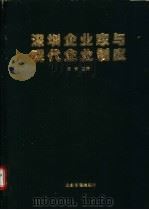 深圳企业家与现代企业制度   1995  PDF电子版封面  7800014657  沈青主编 