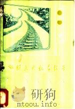 双频点工机车信号   1975  PDF电子版封面    铁道部沈阳信号工厂编 