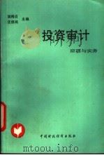 投资审计原理与实务   1993  PDF电子版封面  7500520468  姚梅炎，庄俊鸿主编 