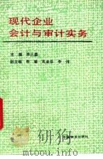 现代企业会计与审计实务   1993  PDF电子版封面  7504706000  李三喜主编 
