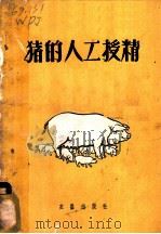 猪的人工授精   1959  PDF电子版封面  16149·05  王丕建编著 