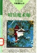 暗房魔术师   1994  PDF电子版封面  780536236X  林路著 