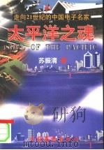 太平洋之魂  走向21世纪的中国电子名家   1996  PDF电子版封面  750391503X  苏振清著 