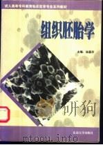 组织胚胎学   1997  PDF电子版封面  7810503081  徐昌芬主编；王德俊等编 