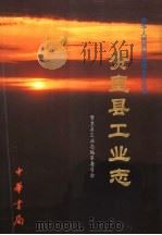 赞皇县工业志   1999  PDF电子版封面  7101024815  张保安主编 