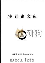 审计论文选   1999  PDF电子版封面    石家庄市审计局办公室编印 