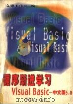 循序渐进学习Visual Basic 中文版5.0   1999  PDF电子版封面  7801326075  文德工作室编 