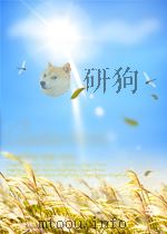 红场婚礼——旅苏散记 P223     PDF电子版封面     