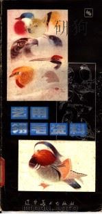 艺用翎毛资料   1983  PDF电子版封面  8161·0111  王一鸣编绘 