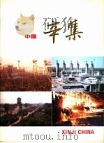 中国辛集     PDF电子版封面    张国瑞主编；毛卓亮译 