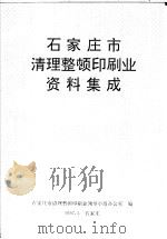 石家庄市清理整顿印刷业资料集成     PDF电子版封面    石家庄市清理整顿印刷业领导小组办公室编 