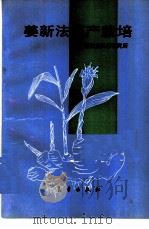 姜新法高产栽培   1993  PDF电子版封面  7502913009  王树钿主编；烟台市农业科学研究所编 